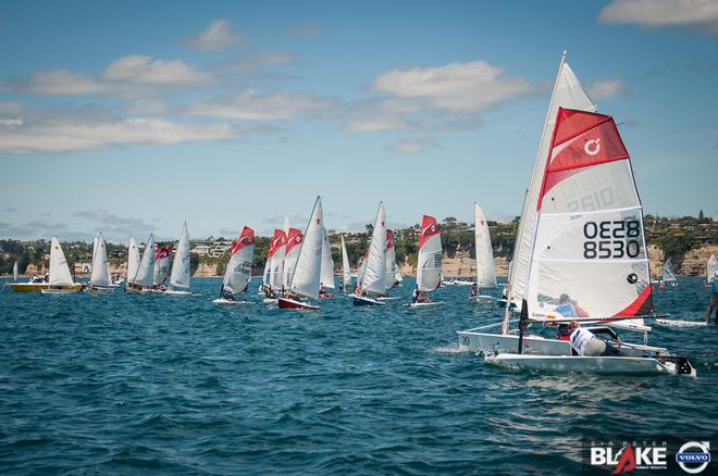 Sir Peter Blake Regatta, Torbay, Auckland, NZ - Day 2, Dec 4 2016 © Suellen Hurling 